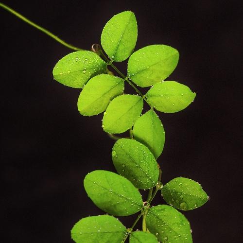 Photo #4364315