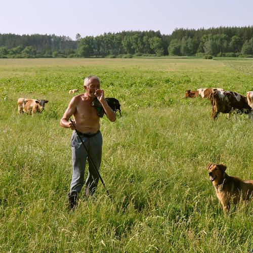 Photo #4364321