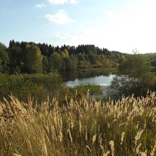 Photo #4364331