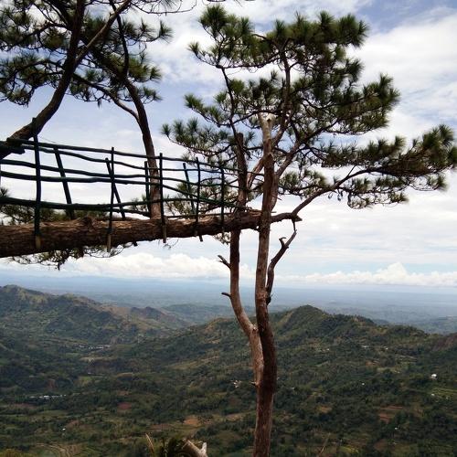 Photo #4364348