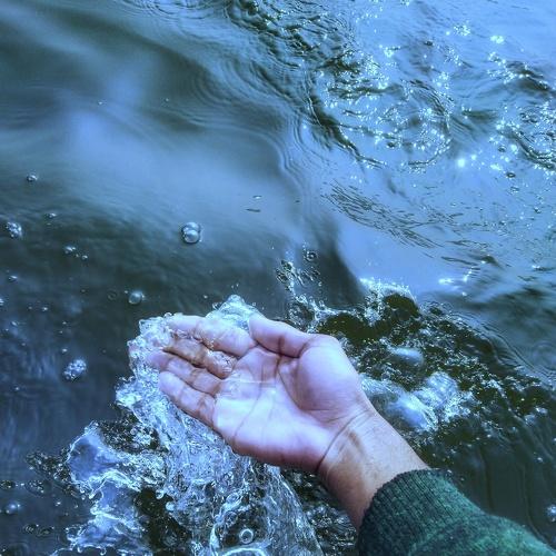 Photo #4364700