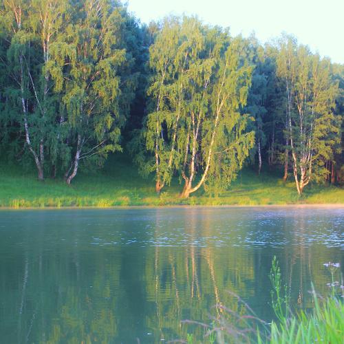 Photo #4364722