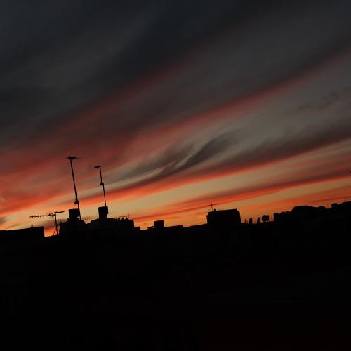 Photo #4364731