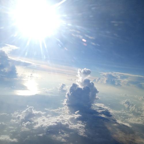 Photo #4364851