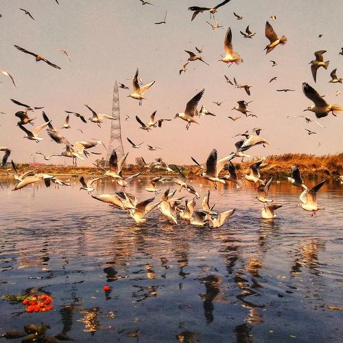 Photo #4364895