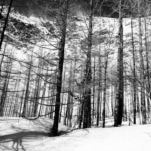 Photo #4364947