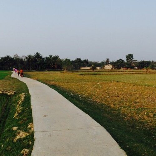 Photo #4365024
