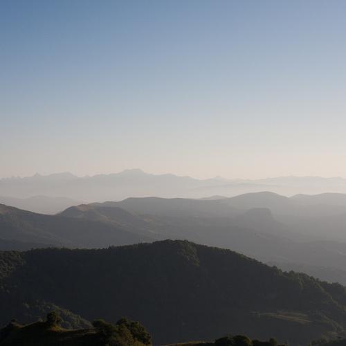 Photo #4365036