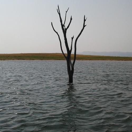 Photo #4365260