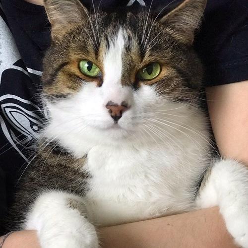 Photo #4365537