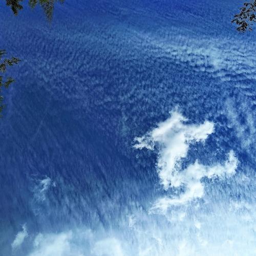 Photo #4365635