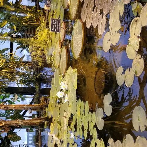Photo #4365954
