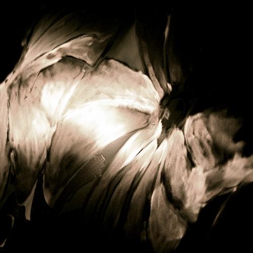 Photo #4365956