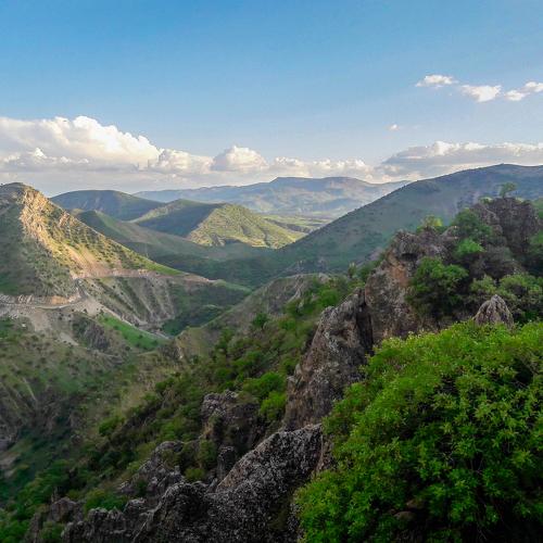Photo #4366219