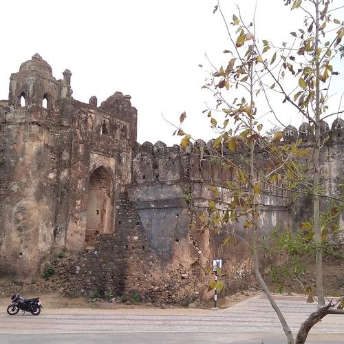 Photo #4366305