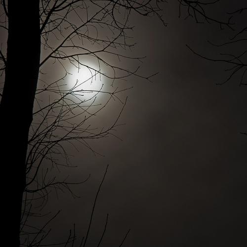 Photo #4366311
