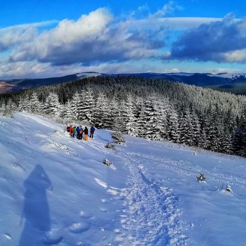 Photo #4366640