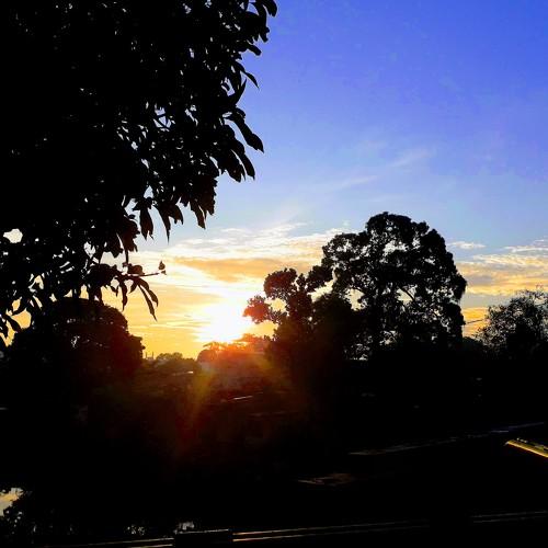 Photo #4366963