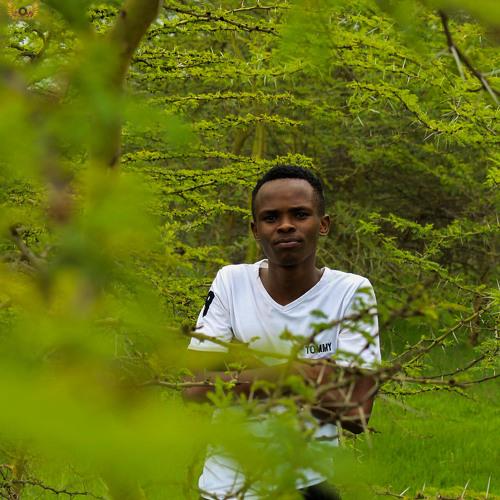 Photo #4366971