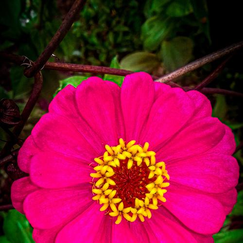 Photo #4367133