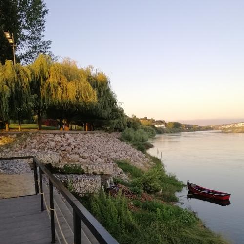 Photo #4367308