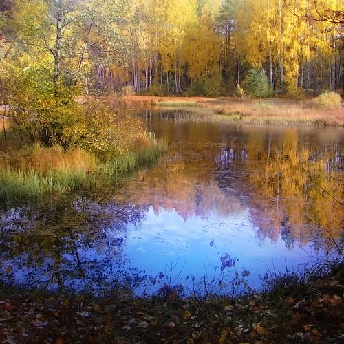 Photo #4367337