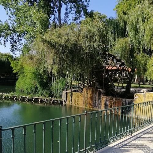 Photo #4367383