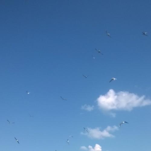 Photo #4367412