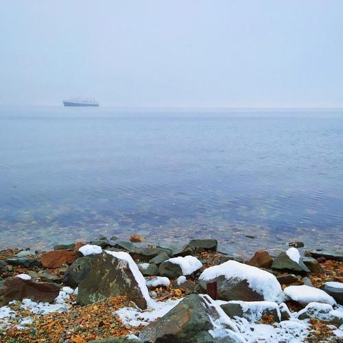 Photo #4367419