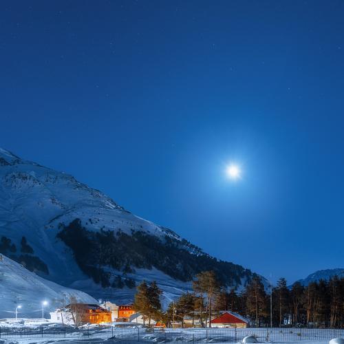 Photo #4367510