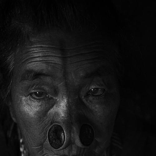 Photo #4367681