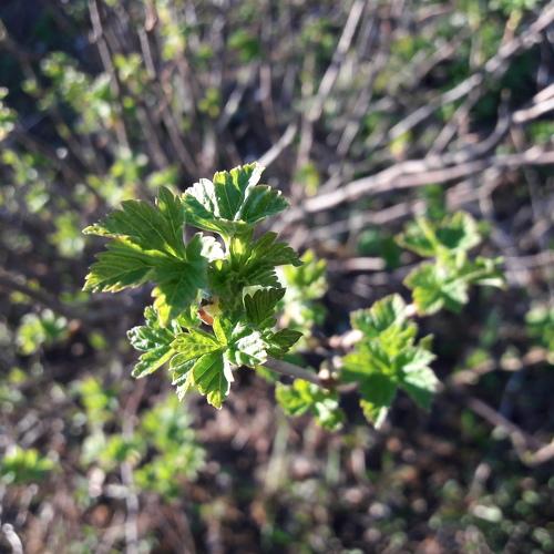 Photo #4367854