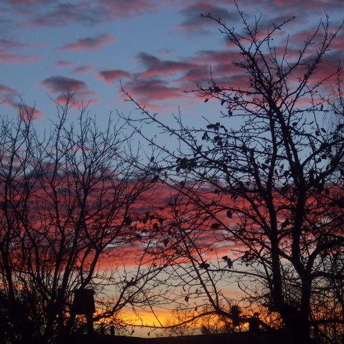 Photo #4367888