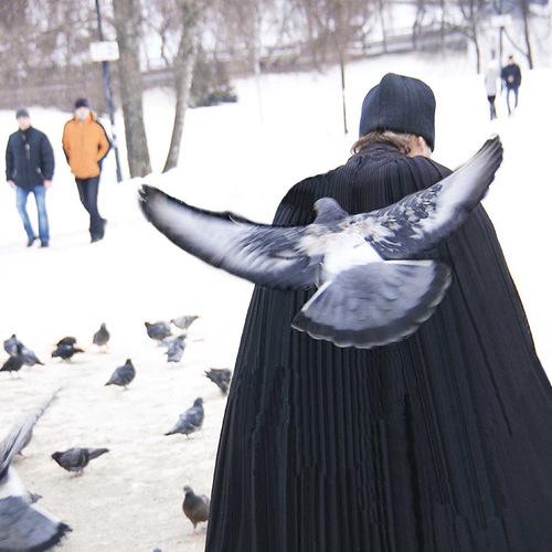 Photo #4367996