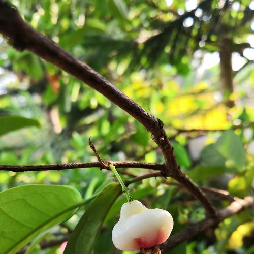 Photo #4368063