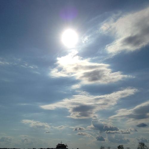 Photo #4368171