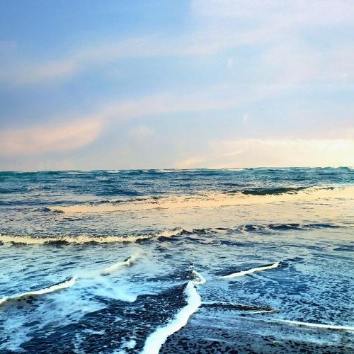 Photo #4368275