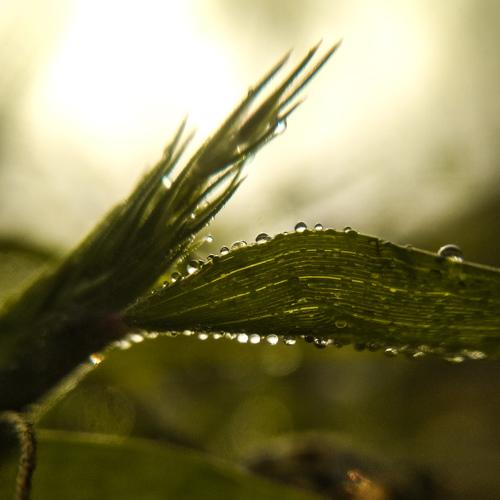Photo #4368343