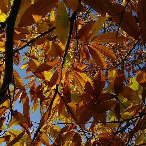 Photo #4368447