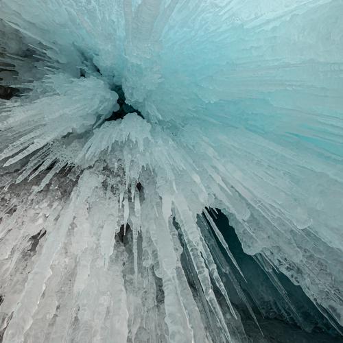 Photo #4368469