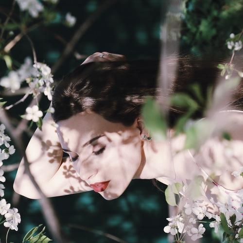 Photo #4368766