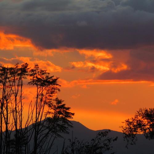 Photo #4368800