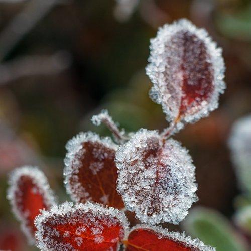 Photo #4369292