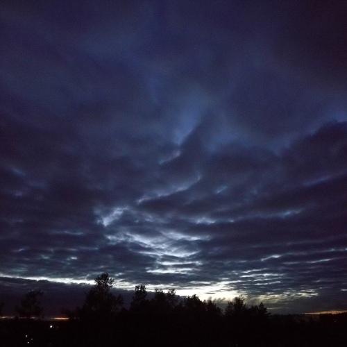 Photo #4369393