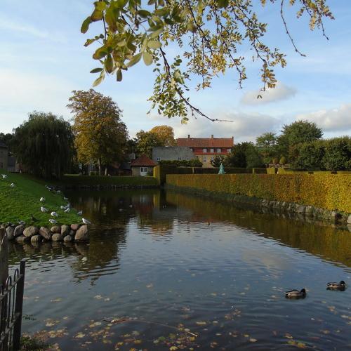 Photo #4369494