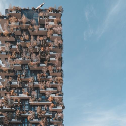 City of future