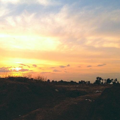 Photo #4369898