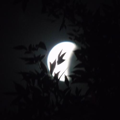 Лунное затмение 27 июля
