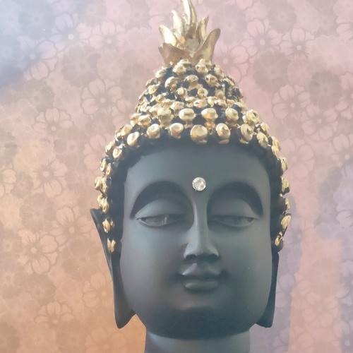 Photo #4370158