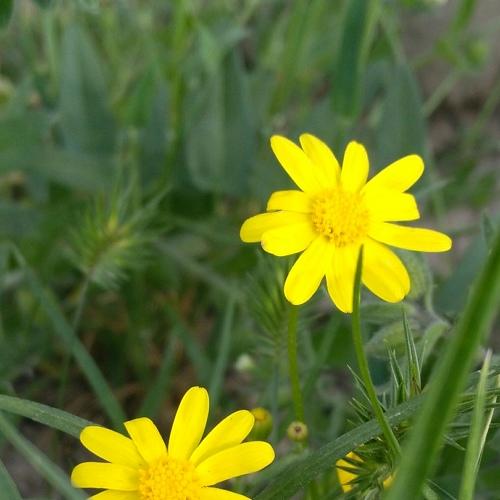 Photo #4370168